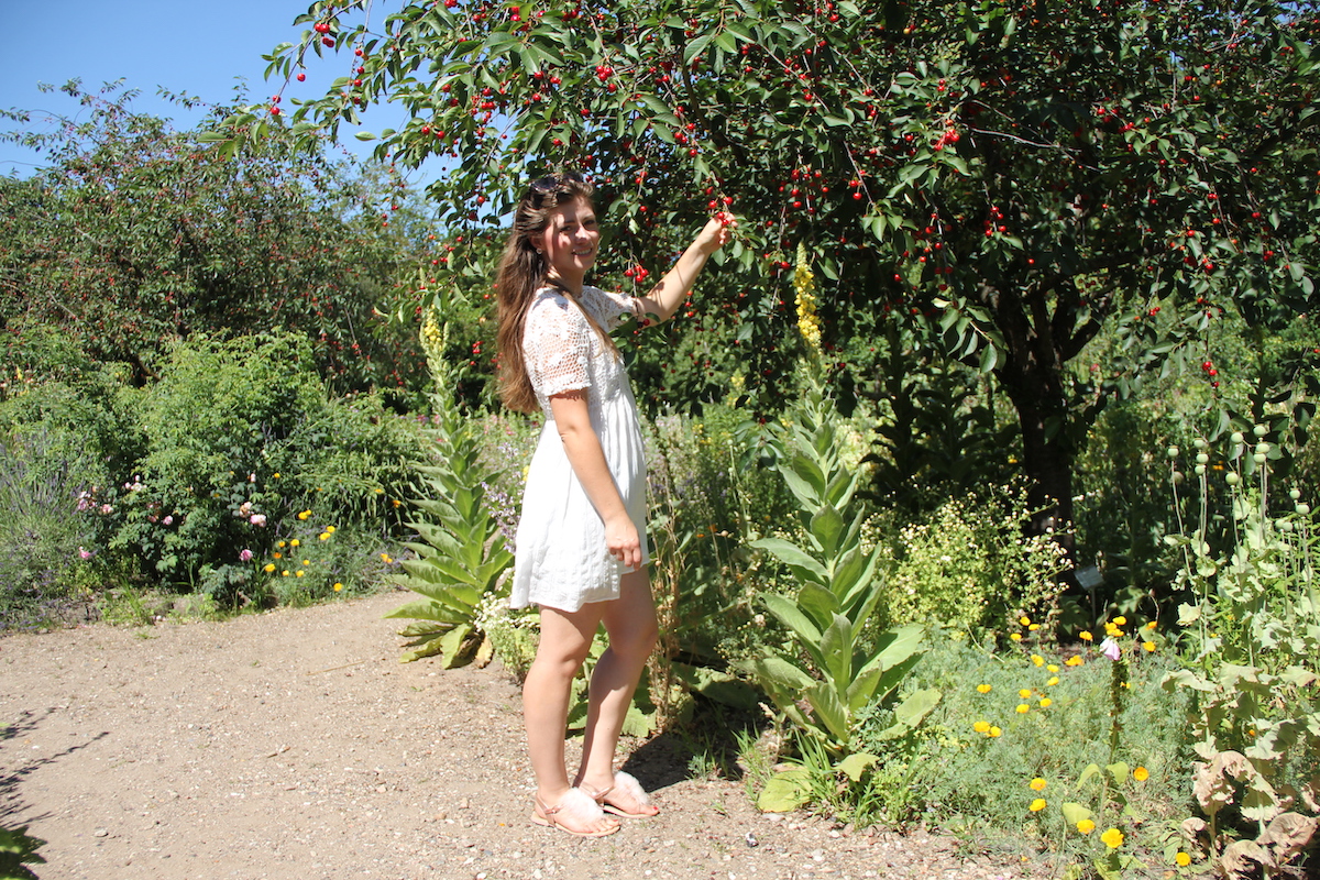 Regional Reisen BineLovesLife