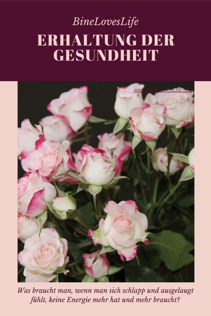 Erhaltung der Gesundheit BineLovesLife