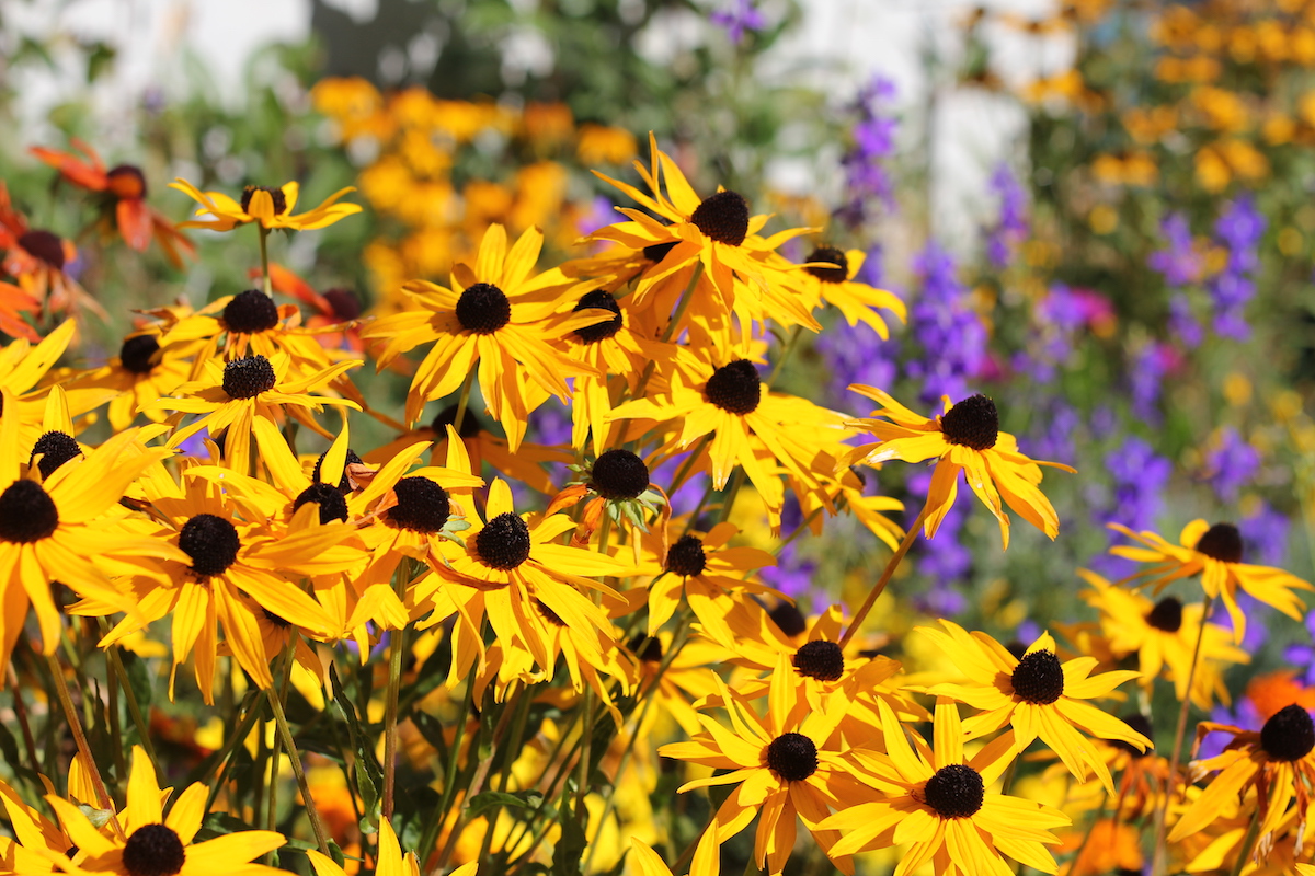 Nachhaltigkeit als Familie