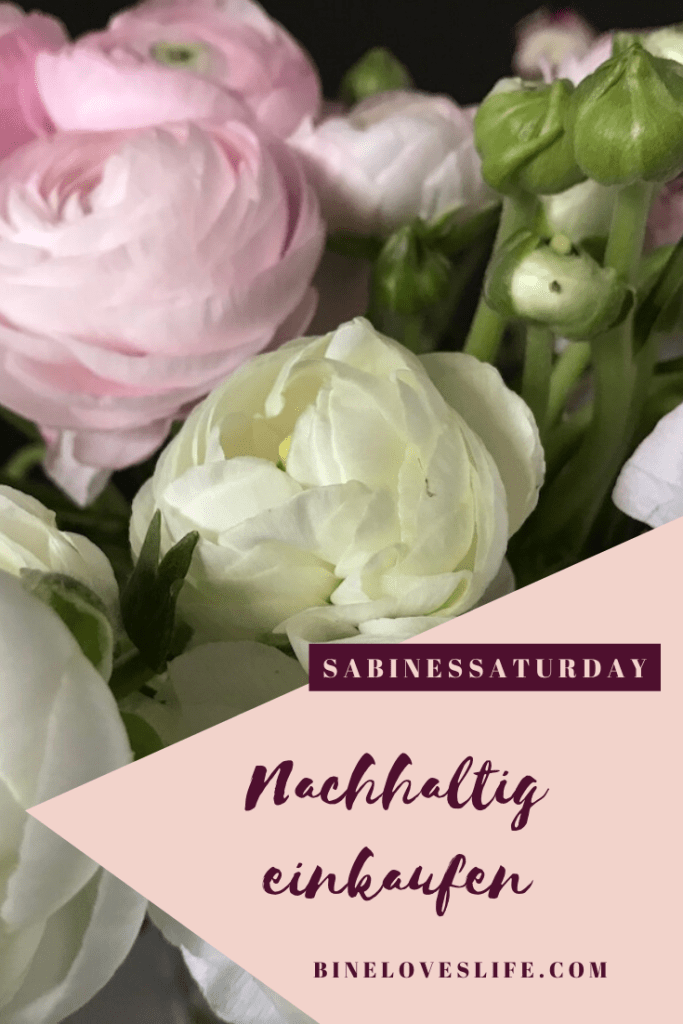 Nachhaltig einkaufen BineLovesLife