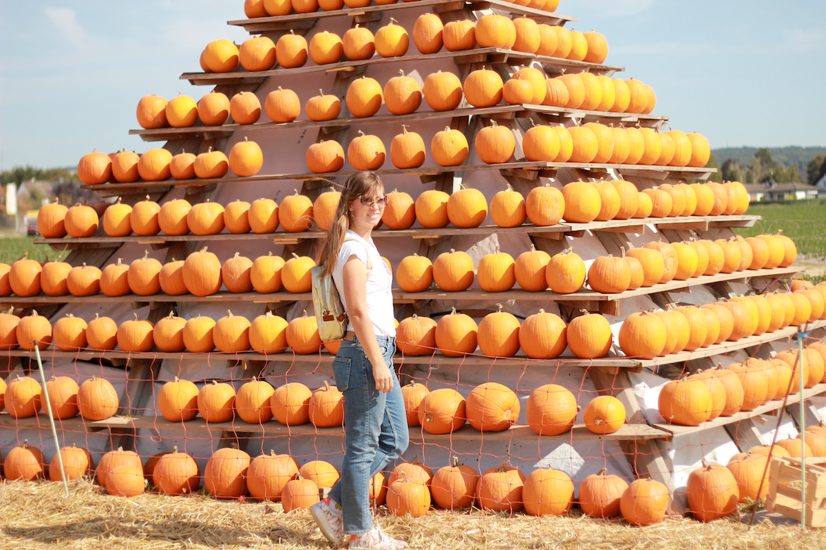 Kürbiszeit BineLovesLife