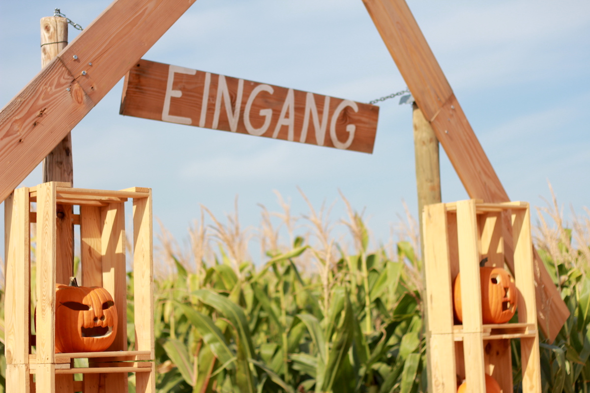 Maislabyrinth im Herbst BineLovesLife