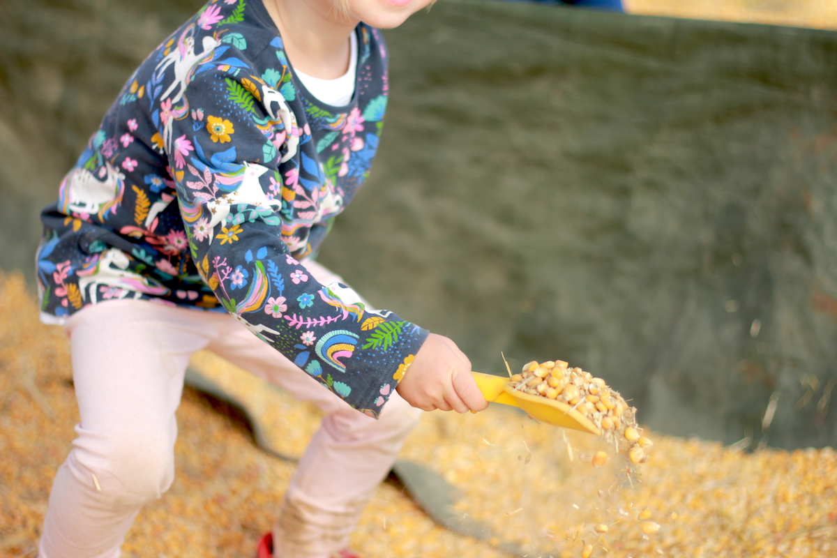 Maislabyrinth Maisschwimmbad BineLovesLife