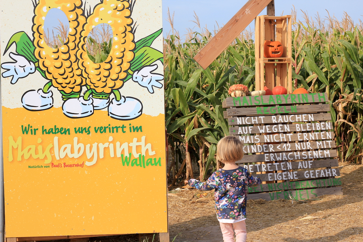 Maislabyrinth mit Kindern BineLovesLife
