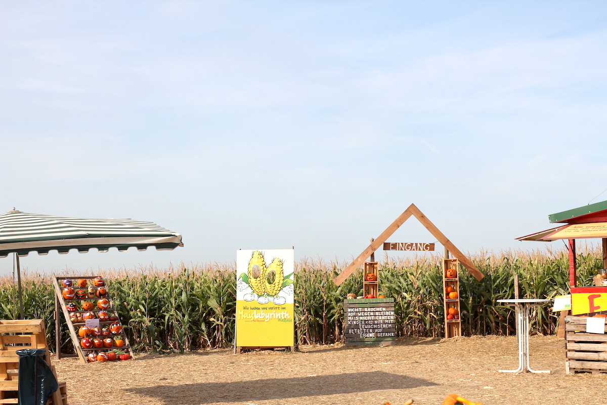 Maislabyrinth Rhein Main BineLovesLife