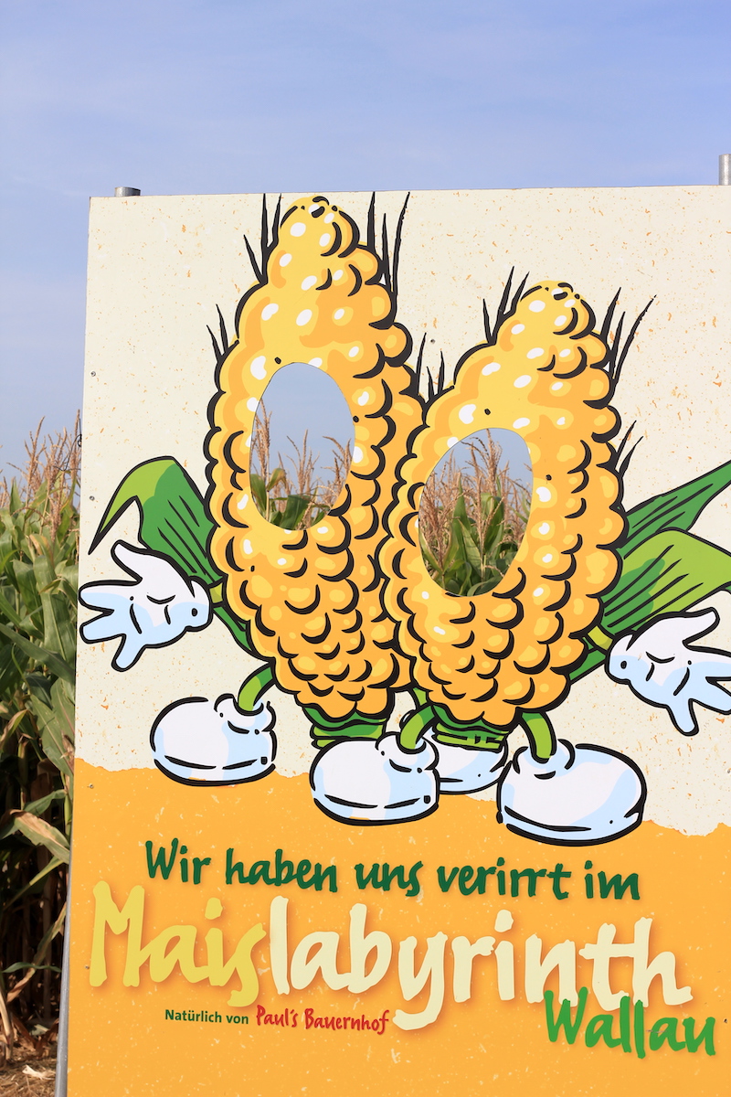 Maislabyrinth Wallau TravelTuesday BineLovesLife
