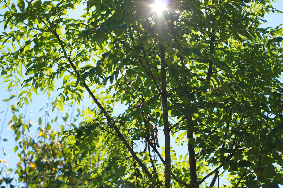 Natur Urlaub Schweiz BineLovesLife