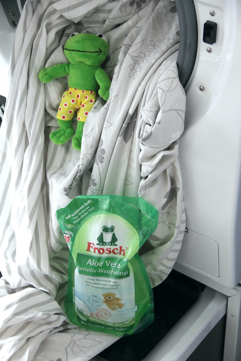 Warum der Frosch bei uns mitmacht  BineLovesLife
