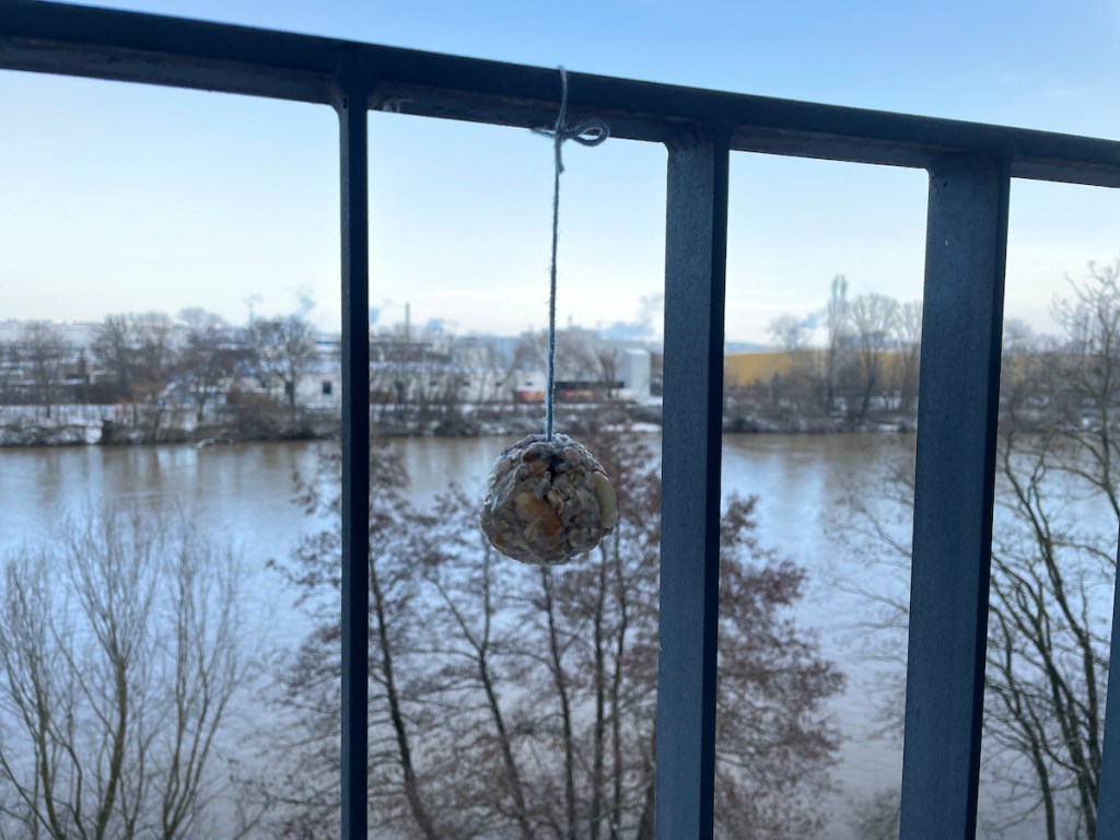 Vogelfutter selbst machen BineLovesLife