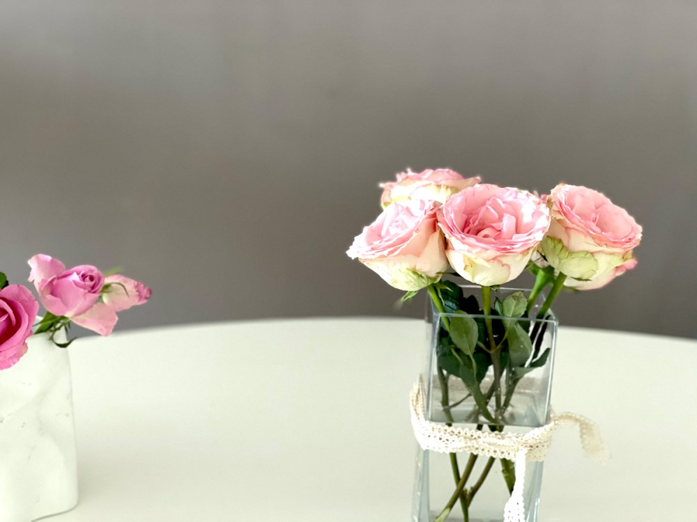 Hautpflege leicht gemacht BineLovesLife