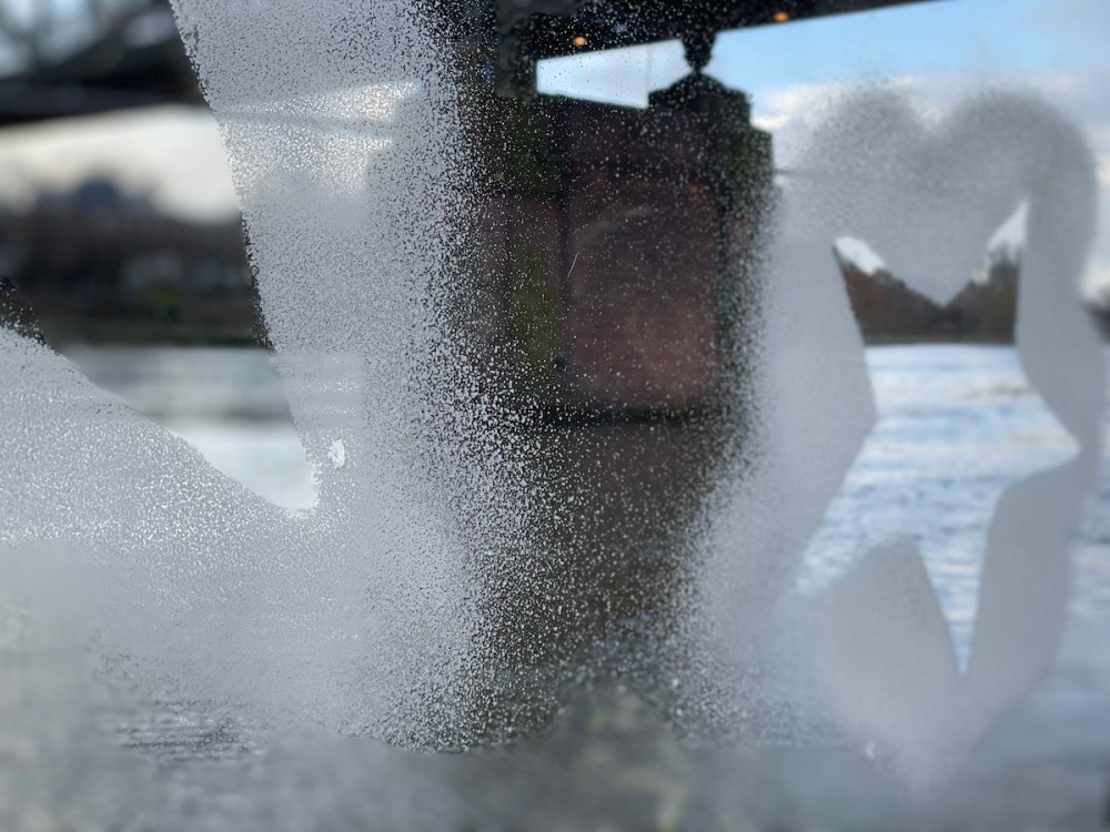 PrimusLinie Frankfurt BineLovesLife